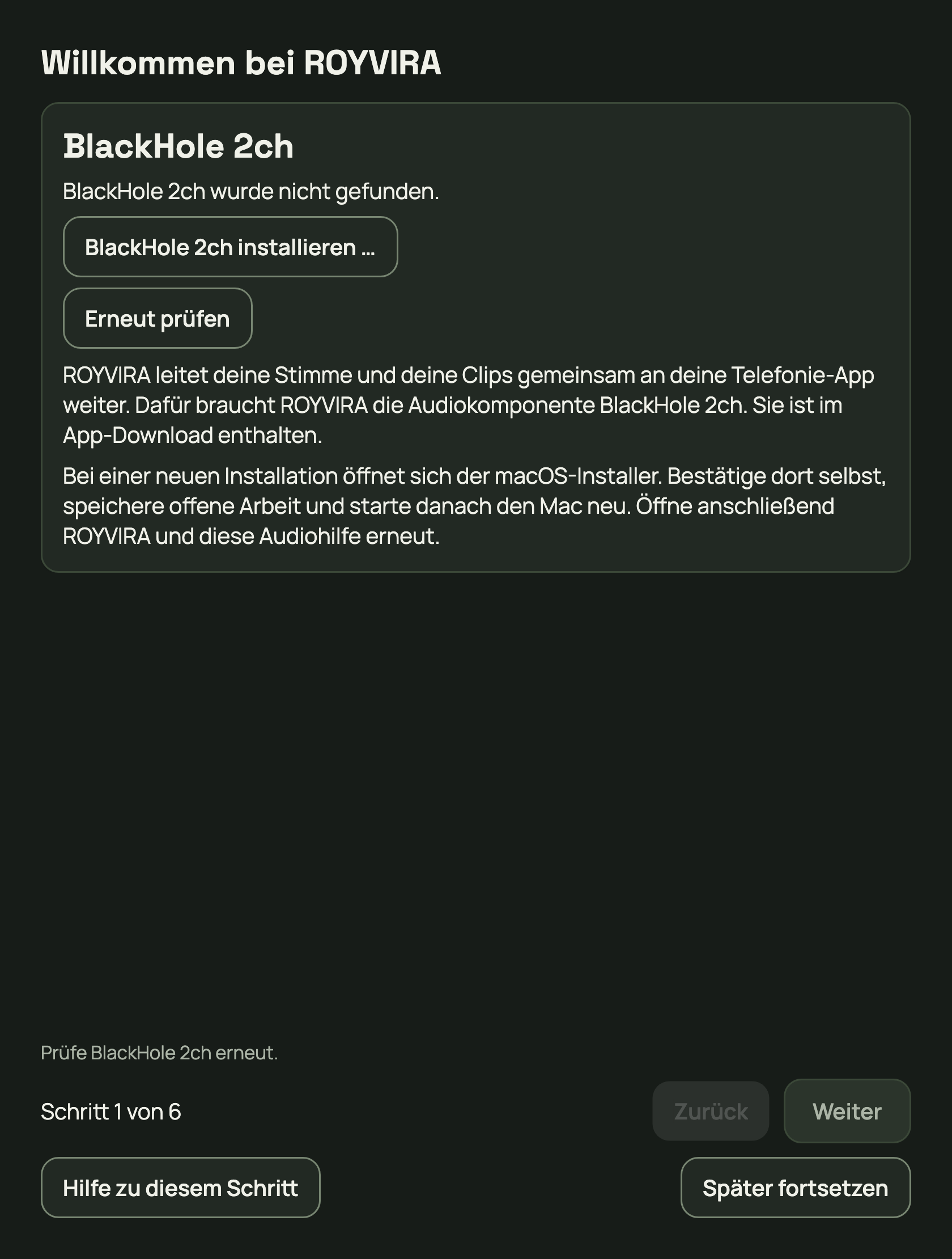 Falls BlackHole fehlt, zeigt „Anruf-Ton einrichten“ die Installation an.