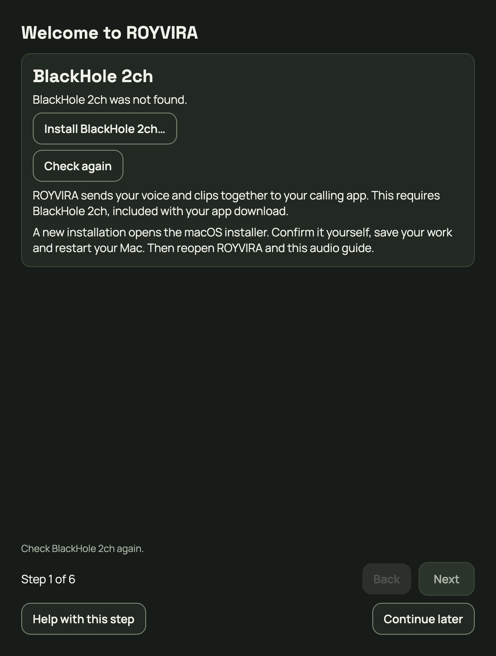 If BlackHole is missing, “Set up call audio” offers installation.